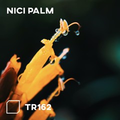 TR162 - NICI PALM