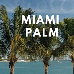 MIAMI PALM