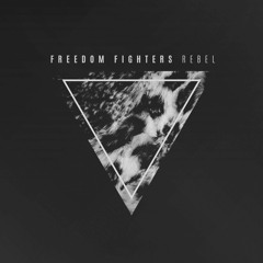 Gabriel & Freedom Fighters - Acid Attack 2015/2020 vs Echotek - Low Frequency.wav