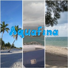 "Aquafina" - iiSubKidd