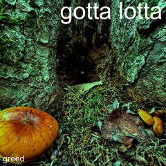 gotta lotta