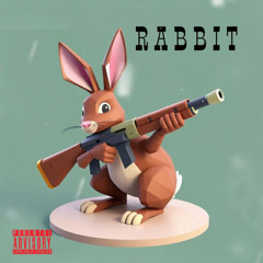 R A B B I T