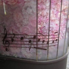 interlude