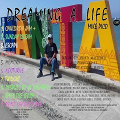 09 - MIKE PICO - Don't Say Goodbye