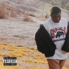 [blessed] (VANO 3000 ADULT SWIM FREESTYLE)