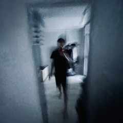 fly