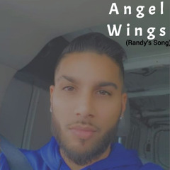 Angel Wings (Randy's Song)