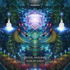 Critical Frequency - The Message From The Others (Original Mix)