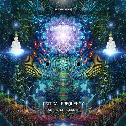 Critical Frequency - The Message From The Others (Original Mix)