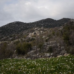 03 - 25