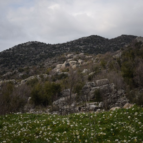 03 - 25