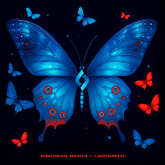 Organic House & Downtempo [Journey of the Soul]