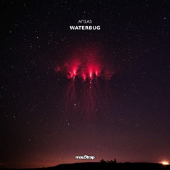 ATTLAS - Waterbug