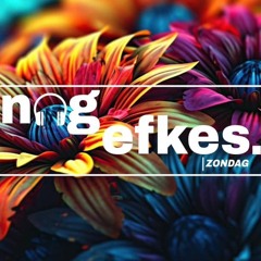 N🎧gefkes (11 augustus 2024)