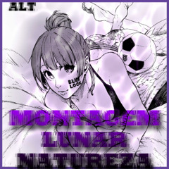 Montagem Lunar Natureza Alt