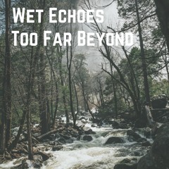 Wet Echoes - Too Far Beyond