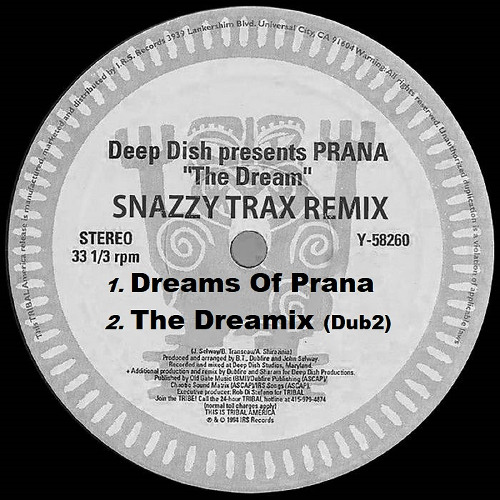 DEEP DISH / SNAZZY TRAX - THE DREAMIX (dub2)