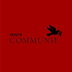 EERSTE COMMUNIE #018 REIN OLE