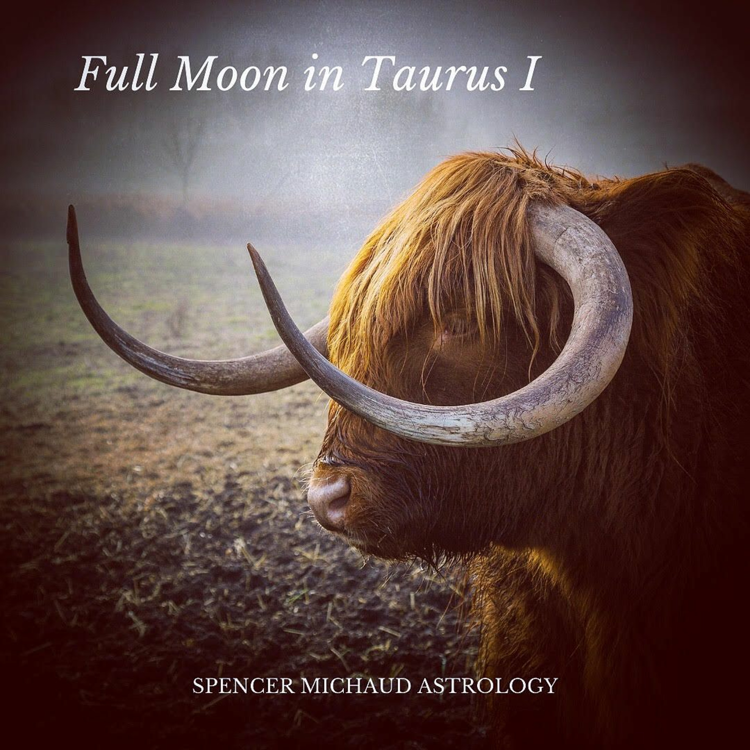 Spencer Michaud Astrology