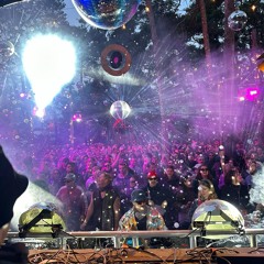 Dompe @ Wurzelfestival2024_Studio54 Floor