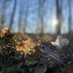 yoga nidra for dyp hvile, med smilende, mykt nærvær med det som er❤️.m4a