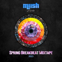 Spring Breakbeat Mixtape 2023