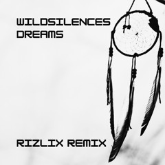 Wildsilences - Dreams (RiZLiX Remix)