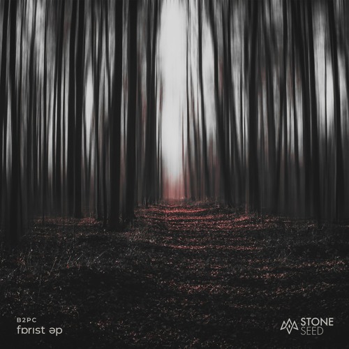 FREE DOWNLOAD: B2PC & Des Dastardly - Forest (fɒrɪst) [Stone Seed]