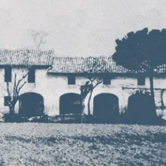 IVY CASTLE ON THE EDGE