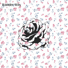 Wonder Why [prod. Tommy Rose]