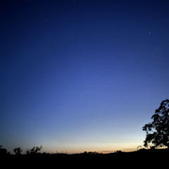 Red Rain (The White Stripes)