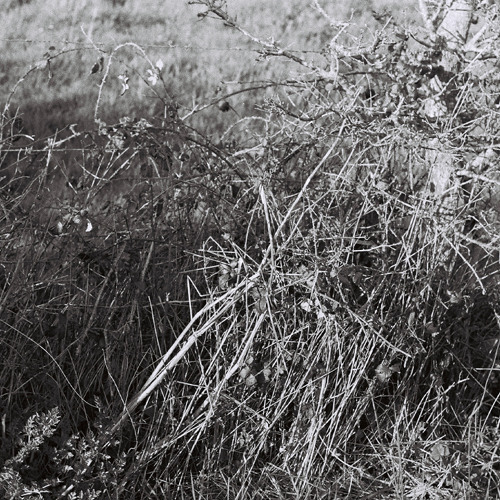 The Early Bird Show w/ PAM 180724