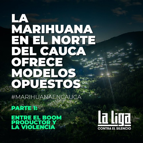 Marihuana en el Norte del Cauca: entre el boom productor y la violencia