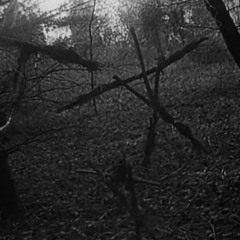 blair witch project