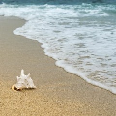 surf