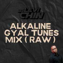 ALKALINE MIX ( GYAL TUNES ) (RAW) DJ LEVI CHIN