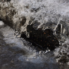 zamarzniety strumyk / frozen brook