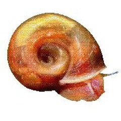 Snails Are Friendly Aliens [speedcomp56]