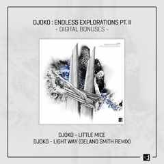 DJOKO - Light Way (Delano Smith Remix)