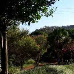 01.11.2021  - Cap. VII - Bem Aventurados os Pobres de Espírito - Mistérios Ocultos aos Sábios e (2)