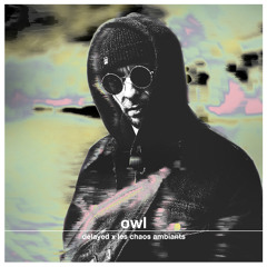 Delayed x Les Chaos Ambiants: Owl