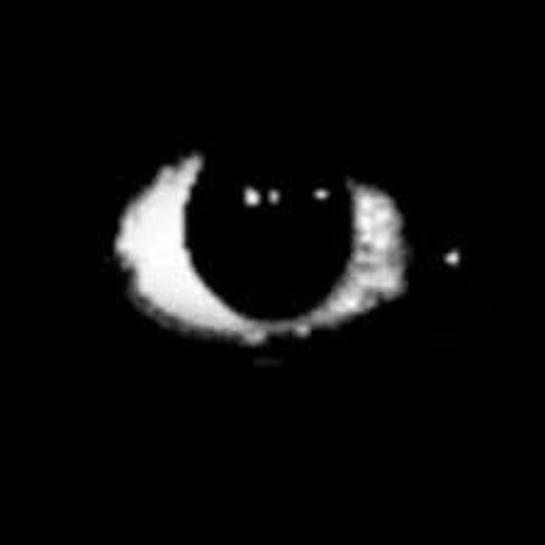 Stream hallway crescendo OSTDOORS👁️ on budget roblox by despacitegg