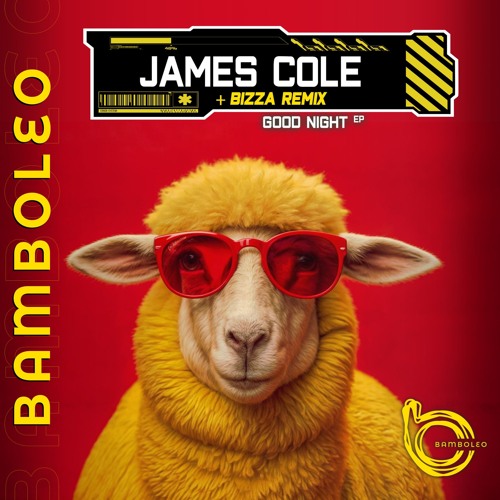 James Cole - Good Night [Bamboleo Records]