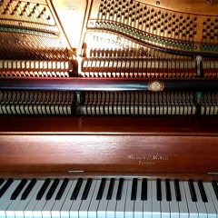 A Sense Of Symmetry (from Seven Days Walking Day 1)