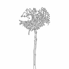 Psychic ft. Orphic [Prod. Fantom]