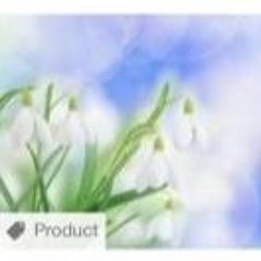 mymelodysound14_(lily's edit)