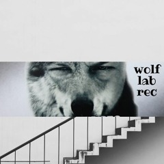 House Box Wolf Lab Rec Sostenitor