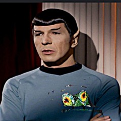 mr spock - role models and idols from tv
