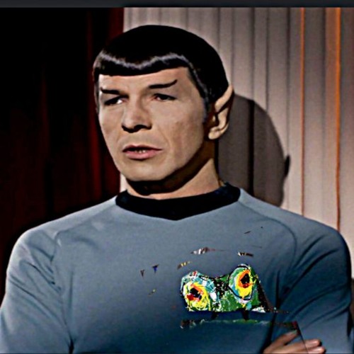 mr spock - role models and idols from tv