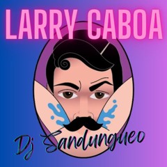 Larry Caboa Mix  - Dj Sandungueo